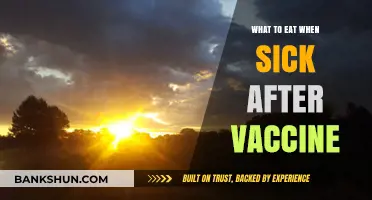 Nourishing Your Body: Best Foods to Eat After a Vaccine