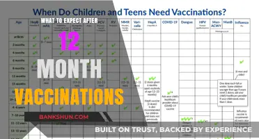 Vaccination Milestones: What to Expect After Your Baby's 12-Month Shots
