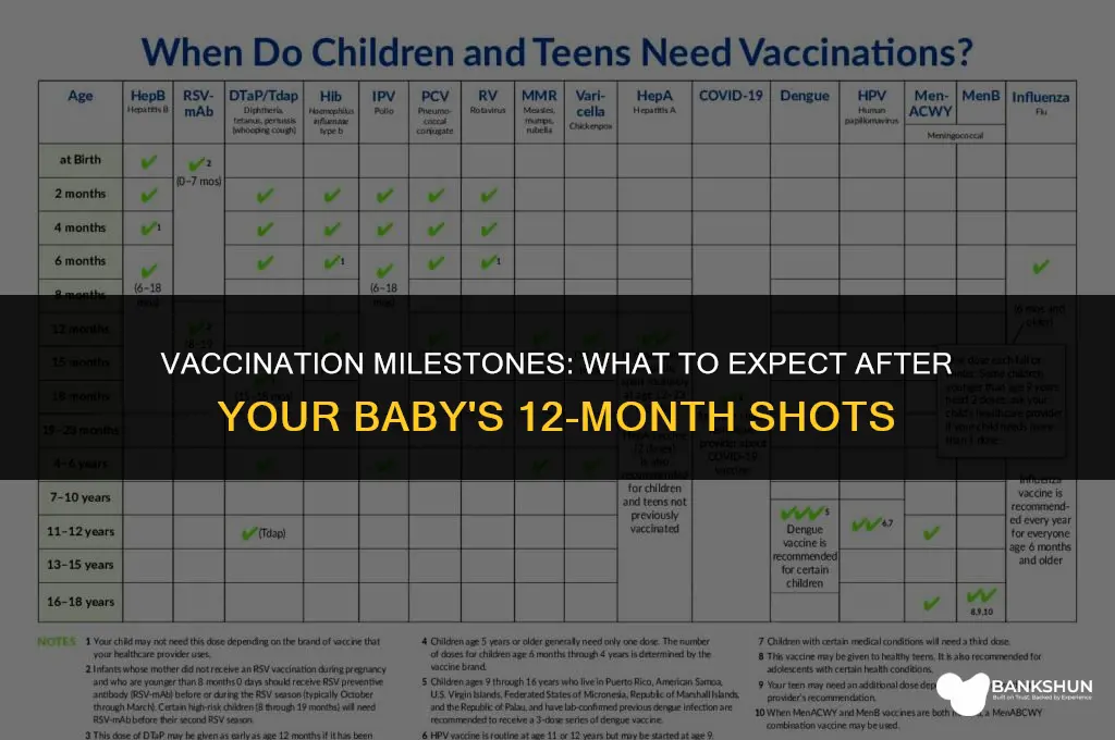 what to expect after 12 month vaccinations