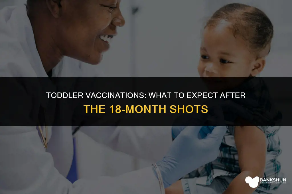 what to expect after 18 month vaccines