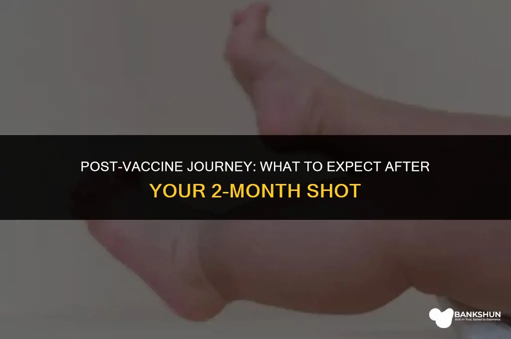 what to expect after 2 month vaccine