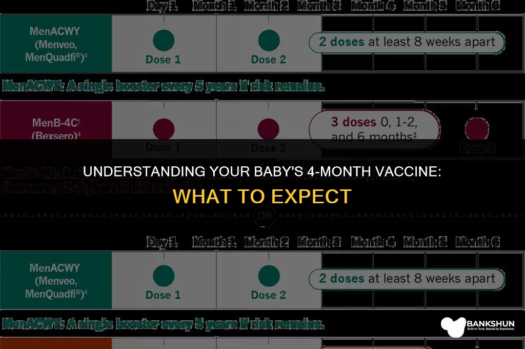 what to expect after 4 month vaccine