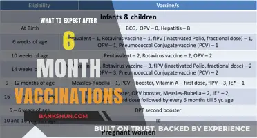 Vaccination Milestones: What to Expect After Your Baby's 6-Month Shots