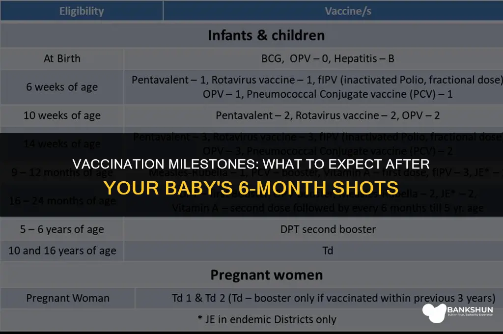 what to expect after 6 month vaccinations