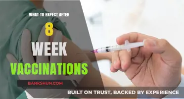 Post-Vaccination Care: What to Expect After Your 8-Week Shots