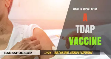 Understanding TDAP Vaccine Side Effects and Recovery