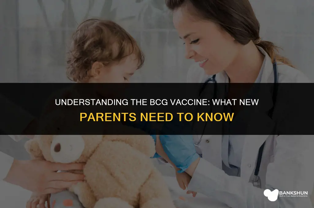 what to expect after baby bcg vaccine