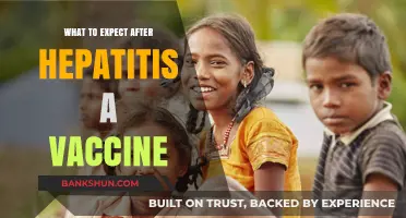 Understanding Post-Vaccination Effects: A Guide to Hepatitis A Vaccine Aftermath