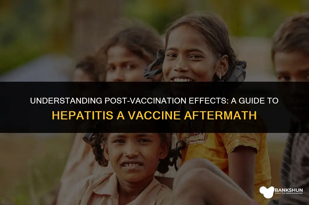 what to expect after hepatitis a vaccine