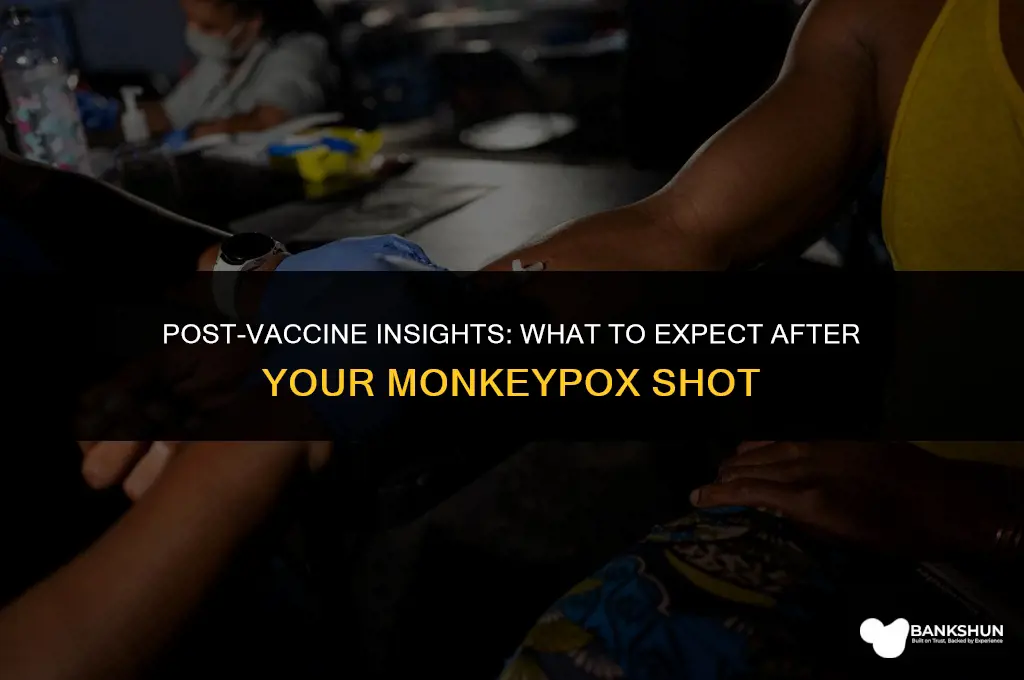 what to expect after monkey pox vaccine