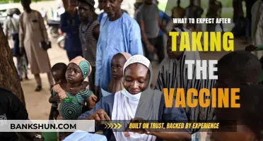 Post-Vaccination Insights: What to Expect After Your Shot