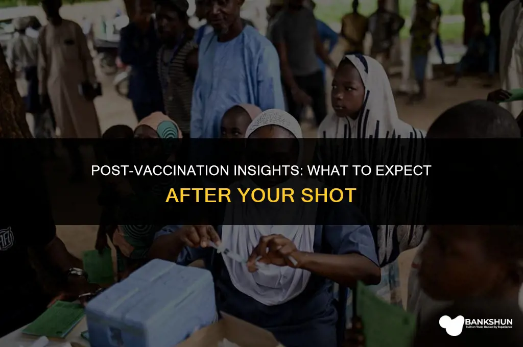 what to expect after taking the vaccine