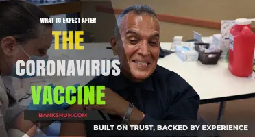 Post-Vaccine Life: What to Expect After Your COVID-19 Shot