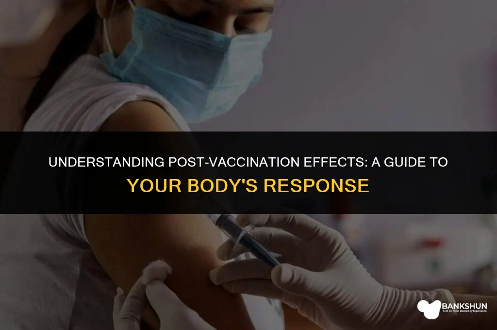 what to expect after vaccinations nhs leaflet