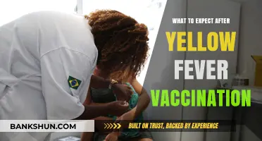 Post-Vaccination Insights: Your Guide to Yellow Fever Recovery