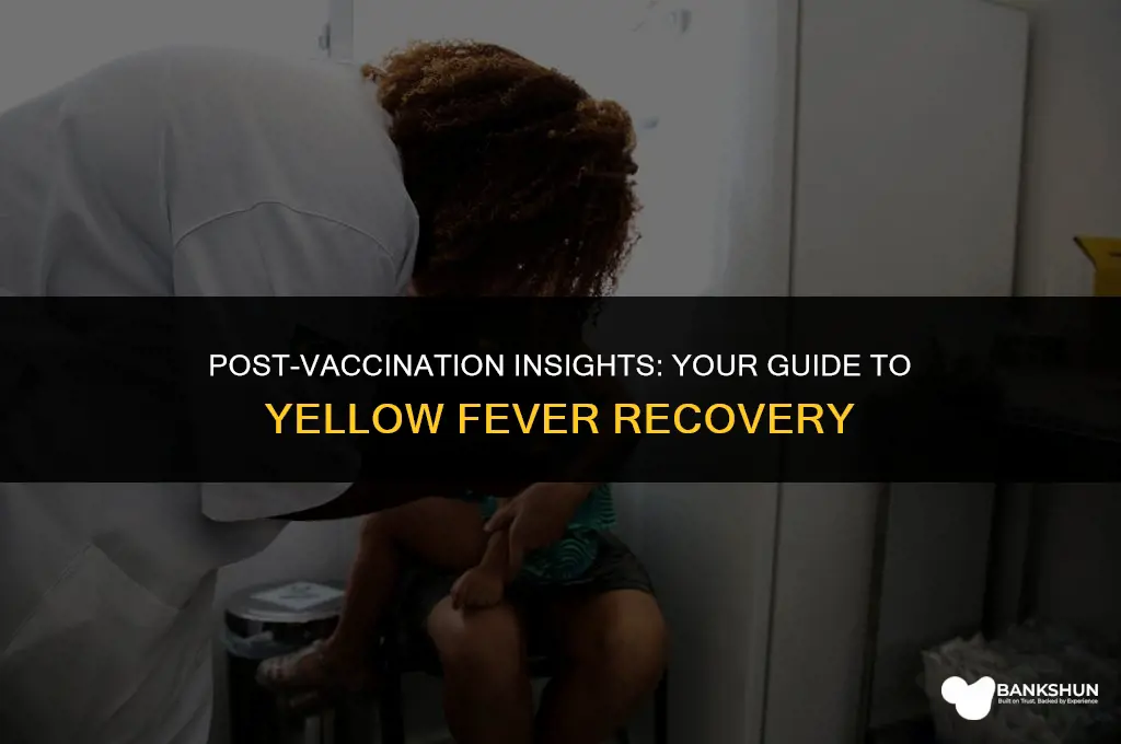 what to expect after yellow fever vaccination