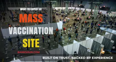 Navigating Mass Vaccination Sites: A Comprehensive Guide
