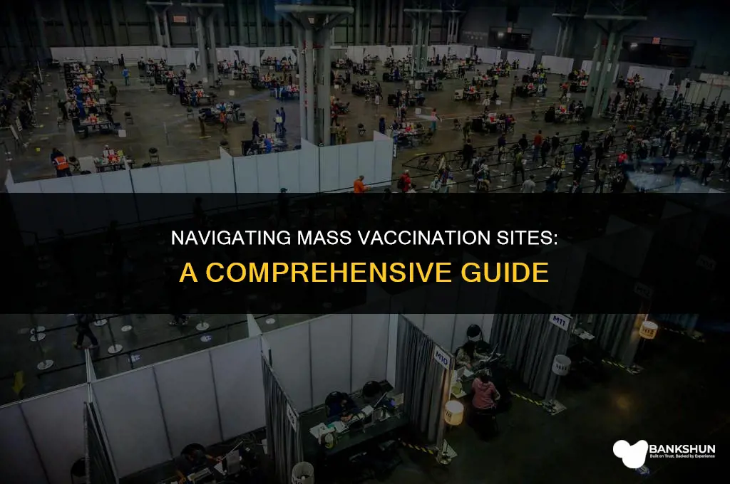 what to expect at mass vaccination site