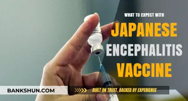 Understanding Japanese Encephalitis Vaccine: Benefits, Side Effects, and FAQs