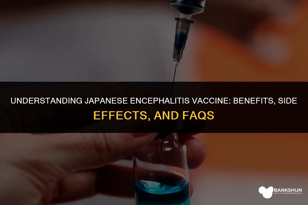 what to expect with japanese encephalitis vaccine