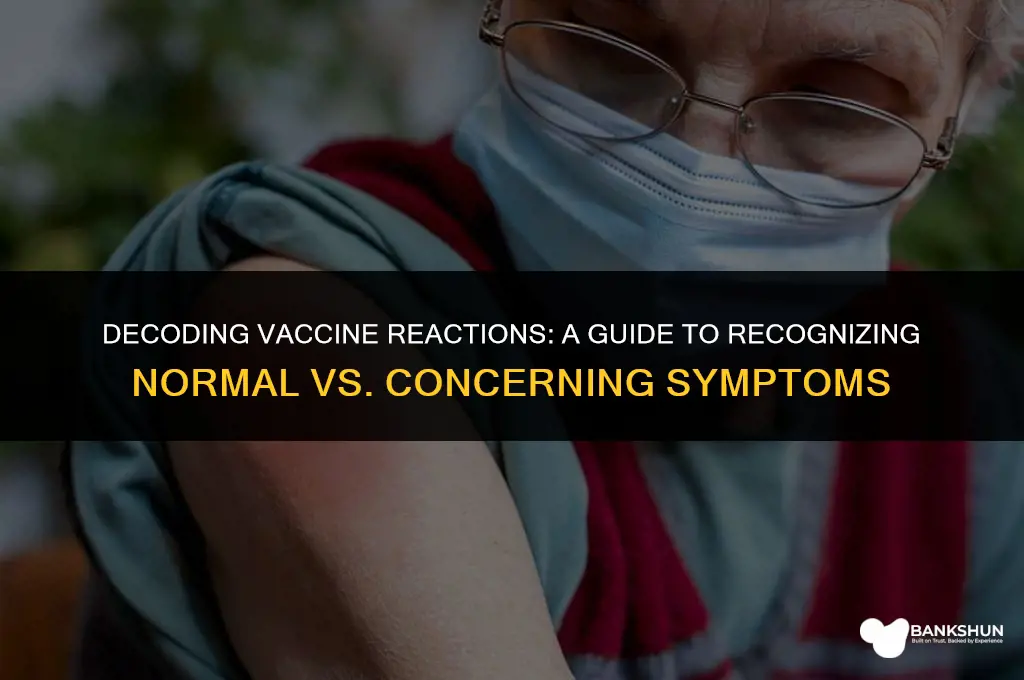 what to look for in vaccine reaction