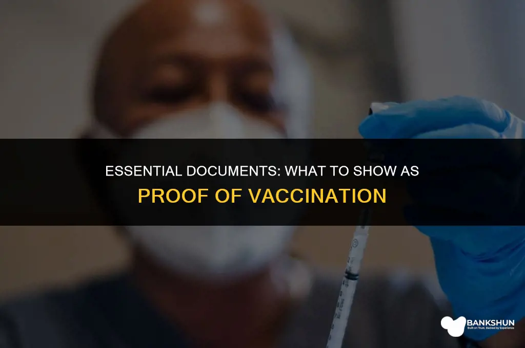 what to show as proof of vaccination