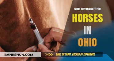 Essential Vaccinations for Horses in Ohio: A Comprehensive Guide