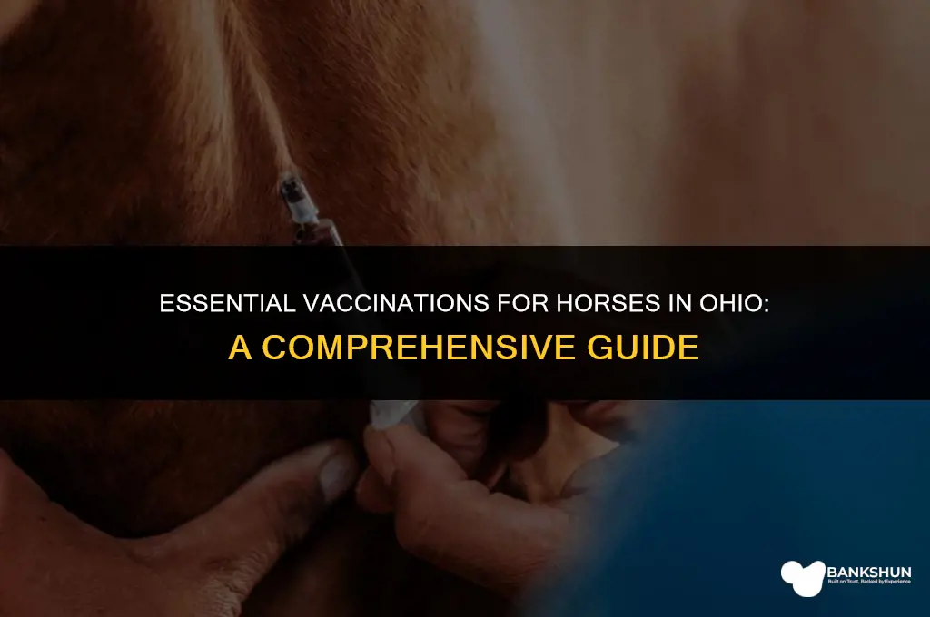 what to vaccinate for horses in ohio