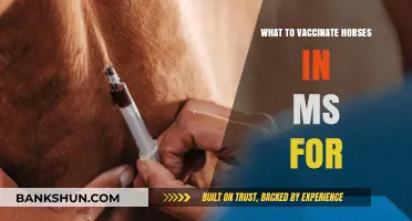 Essential Vaccinations for Horses in Mississippi: A Comprehensive Guide