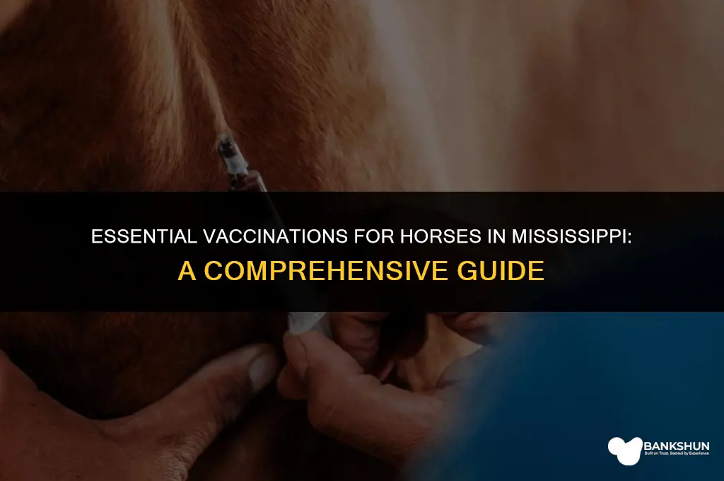 what to vaccinate horses in ms for