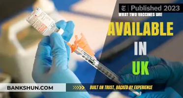 Exploring the Two COVID-19 Vaccines Available in the UK