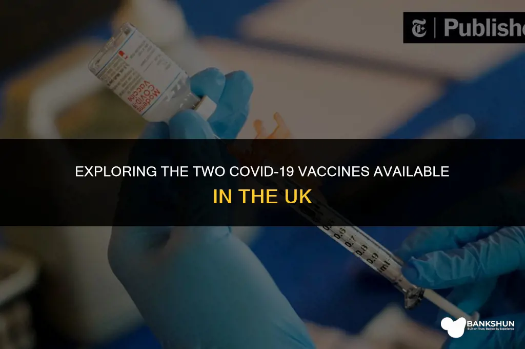 what two vaccines are available in uk