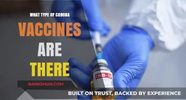 Exploring the Different Types of COVID-19 Vaccines Available