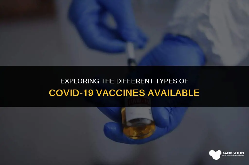 what type of corona vaccines are there