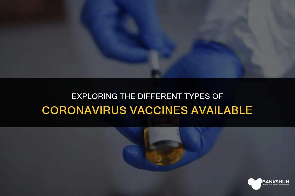 what type of coronavirus vaccines are there