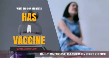 Exploring Hepatitis Vaccines: Which Types Can Be Prevented?