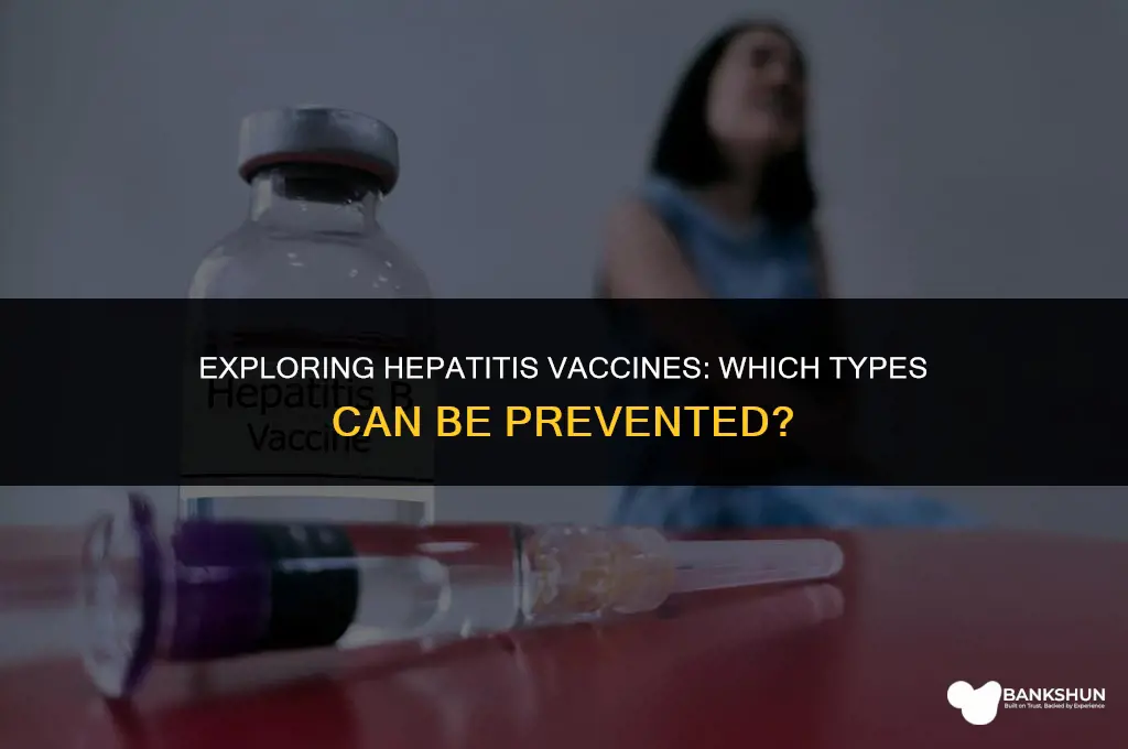 what type of hepatitis has a vaccine