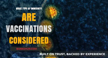Unraveling the Mystery: How Vaccinations Bolster Our Immune System