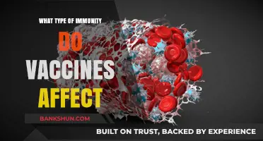 Exploring Vaccine-Induced Immunity: Types and Effects