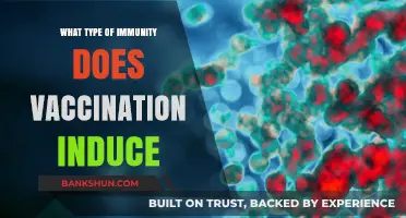 Vaccination: Unlocking the Power of Adaptive Immunity