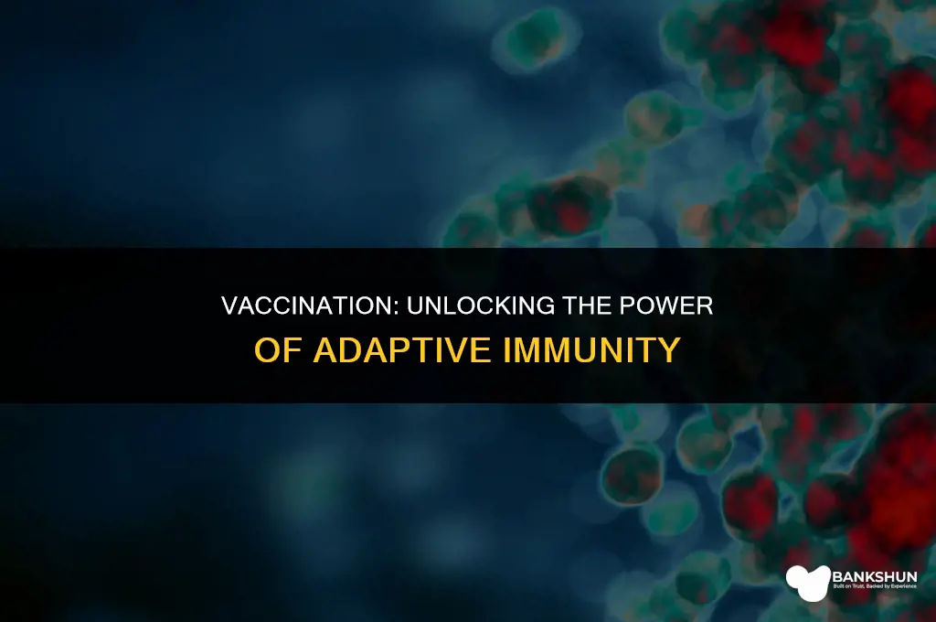 what type of immunity does vaccination induce
