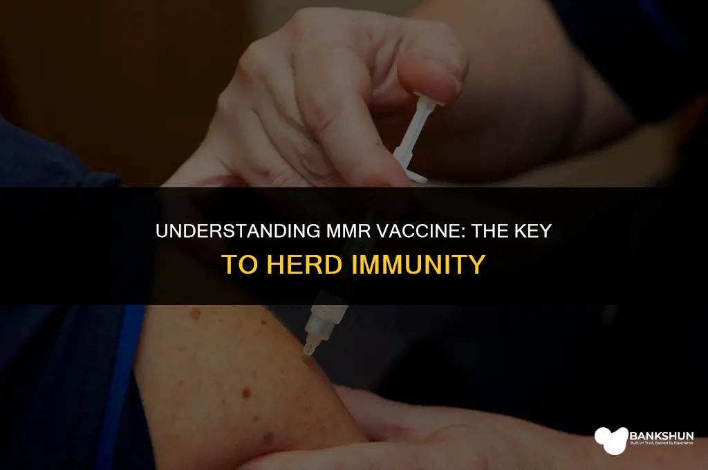 what type of immunity is mmr vaccine