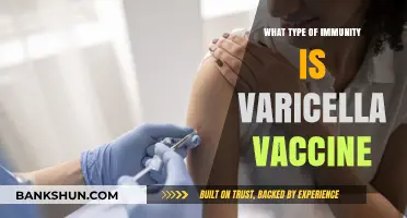 Varicella Vaccine: Understanding the Types of Immunity It Provides