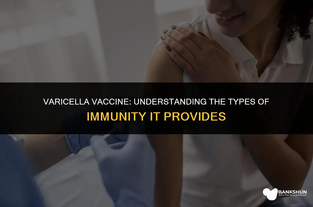 what type of immunity is varicella vaccine