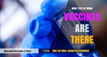 Exploring the Different Types of mRNA Vaccines Available