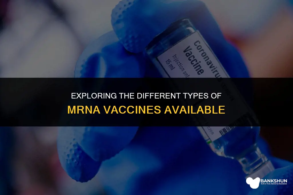 what type of mrna vaccines are there