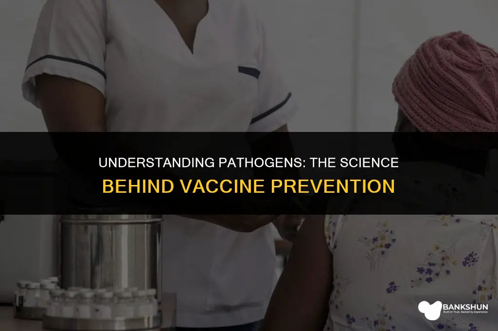 what type of pathogen fo vaccines prevent