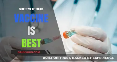 Choosing the Right Typhoid Vaccine: A Comprehensive Guide