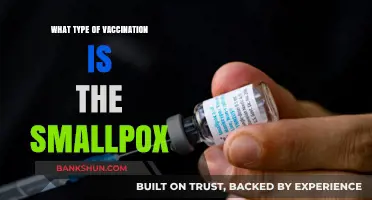 Understanding Smallpox Vaccination: Types and Effectiveness