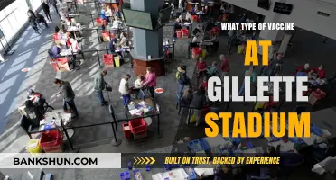 Exploring Vaccine Options Available at Gillette Stadium